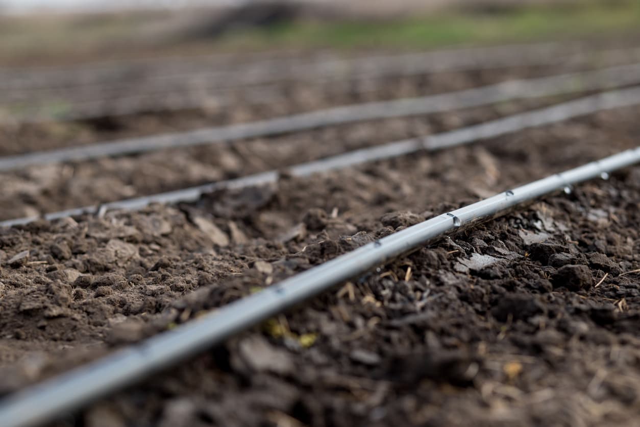 Sistem de riego por goteo en un campo agrícola utilizando Tubería Galvanizada